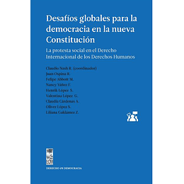 Desafios Globales Para La Democracia En La Nueva Constitución