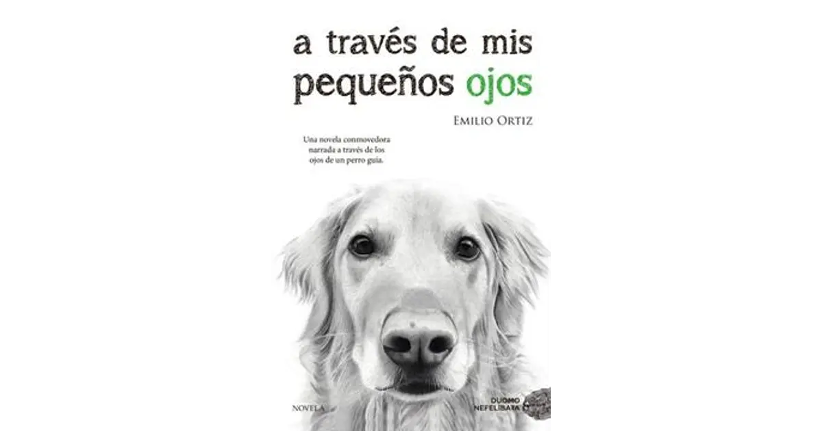 A Traves De Mis Pequeños Ojos