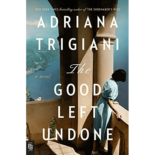The Good Left Undone: A Novel (Libro En Inglés)