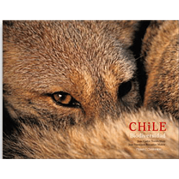 Chile Biodiversidad