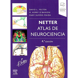 Atlas De Neurociencia (4ª Ed. ) - Netter (Felten)