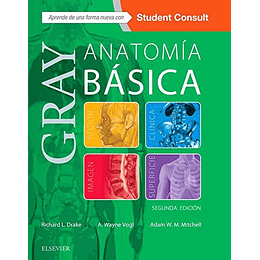 Gray Anatomia Basica