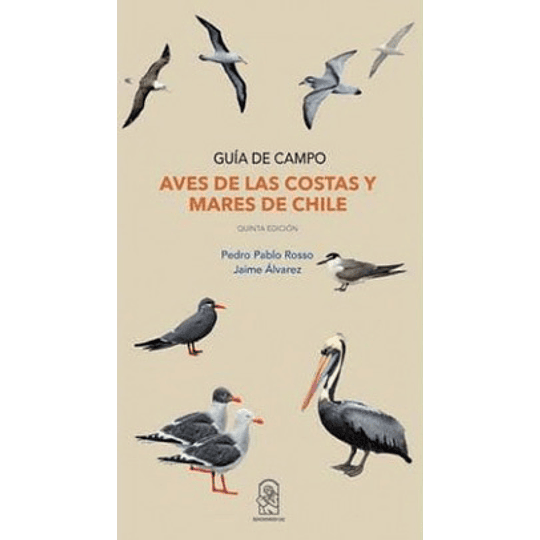 Aves De Las Costas Y Mares De Chile