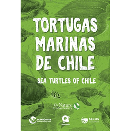 Tortugas Marinas De Chile