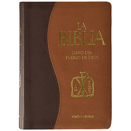 La Biblia. Libro Del Pueblo De Dios: Edicion Simil Piel Bitono