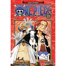 One Piece 25