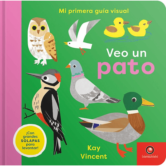 Veo Un Pato Mi Primera Guía Visual