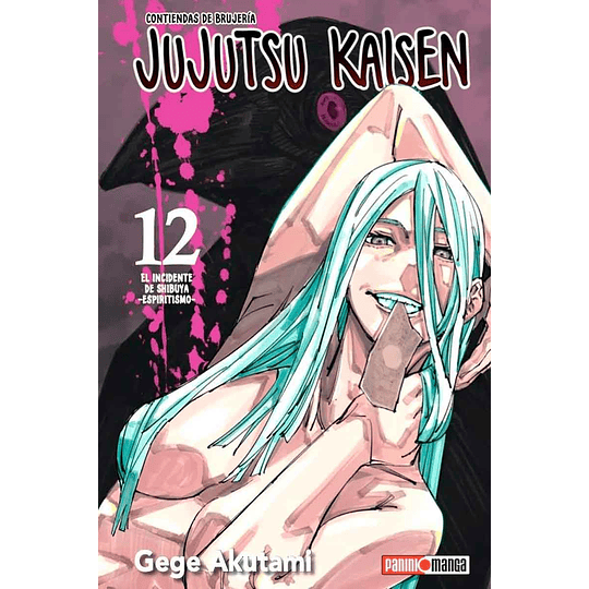 Jujutsu Kaisen 12