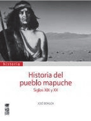 Historia Del Pueblo Mapuche. Siglos Xix Y Xx