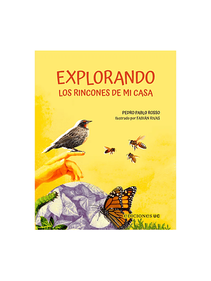 Explorando Los Rincones De Mi Casa