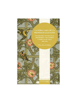 La Otra Cara De La Profesionalizacion. 
