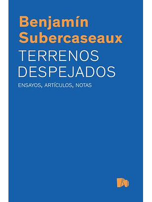 Terrenos Despejados. Ensayos, Artículos, Notas