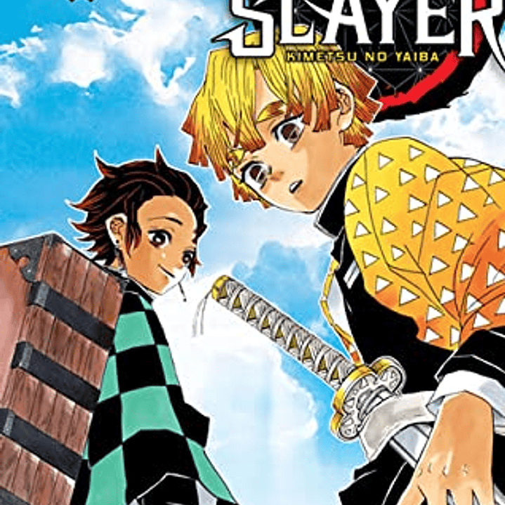 Demon Slayer - Kimetsu No Yaiba 03  1