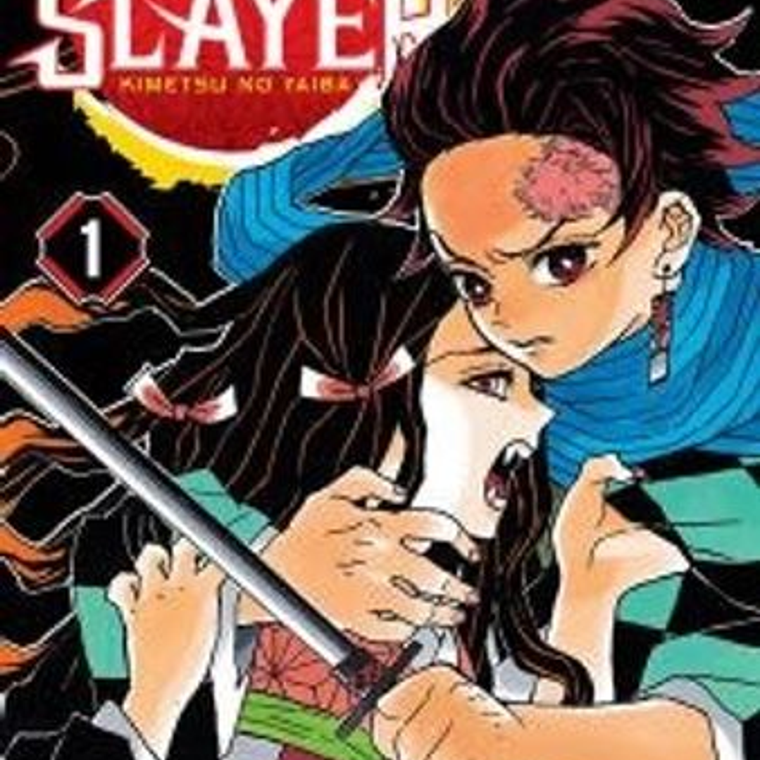 Demon Slayer: Kimetsu No Yaiba 01 1