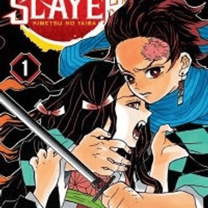 Demon Slayer: Kimetsu No Yaiba 01 1