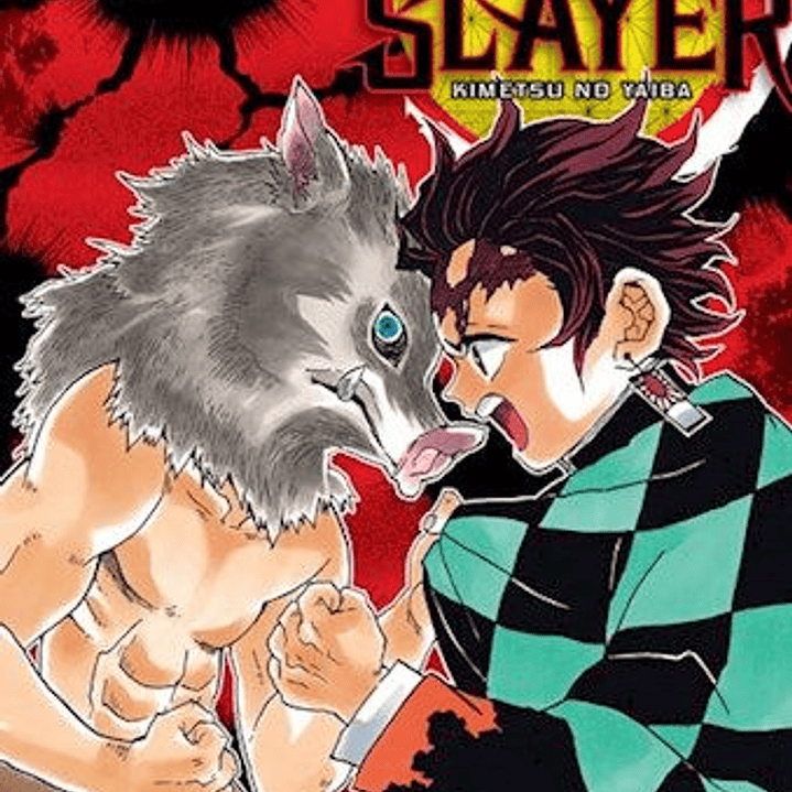 Demon Slayer - Kimetsu No Yaiba 4 1