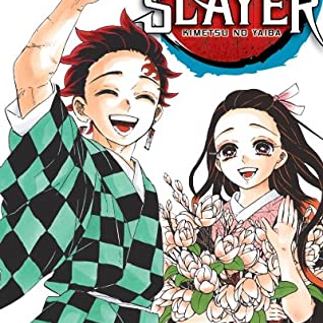 Demon Slayer Kimetsu No Yaiba 23 1