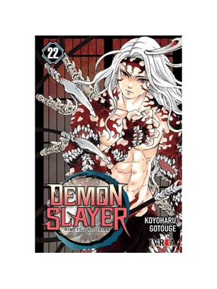Demon Slayer 22