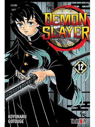Demon Slayer 12