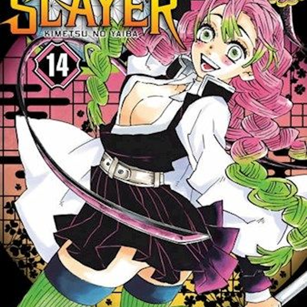 Demon Slayer 14 1
