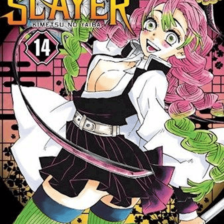Demon Slayer 14 1