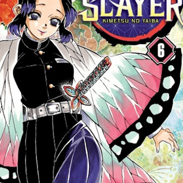 Demon Slayer - Kimetsu No Yaiba 6 1