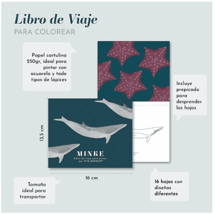 Libro Pintar Minke 1