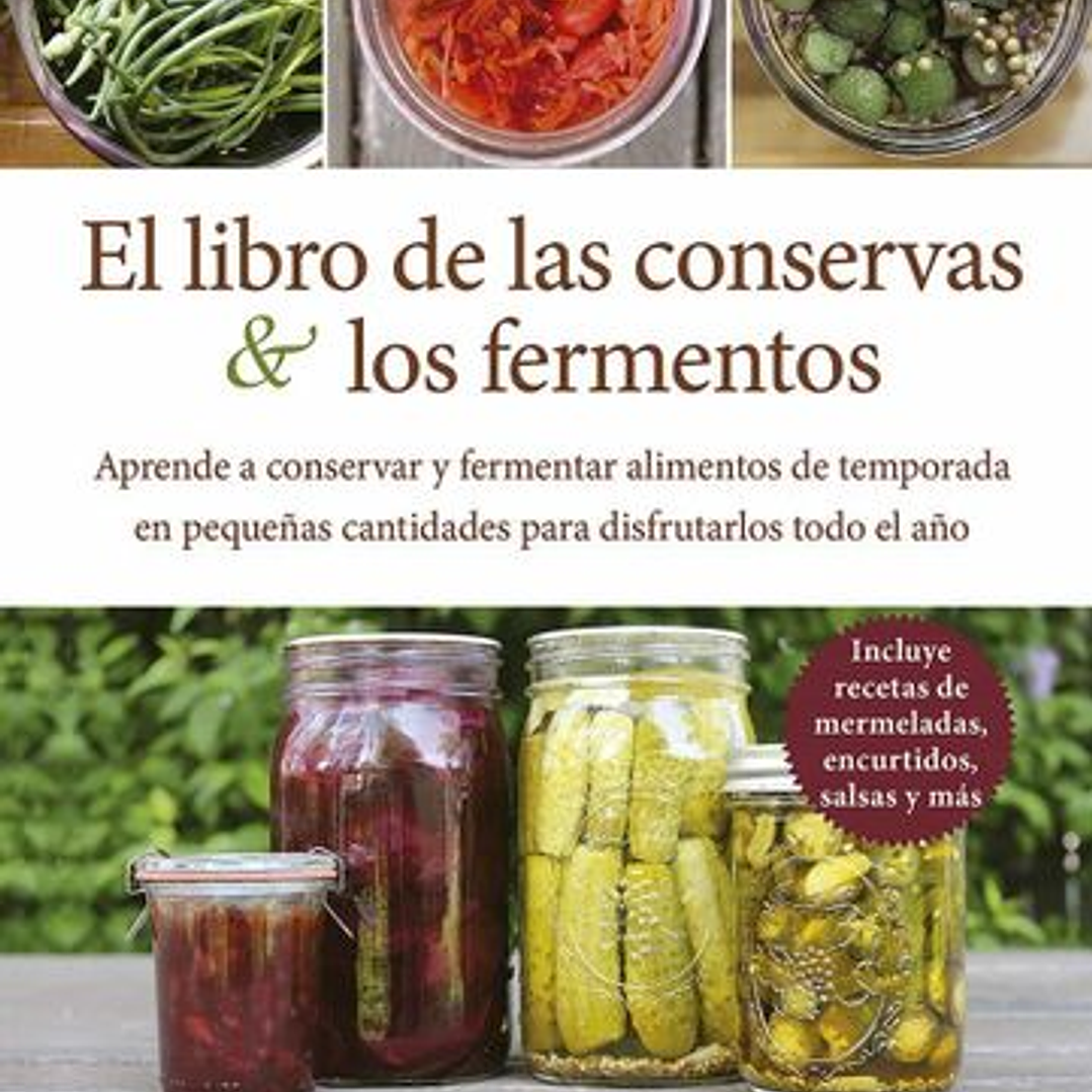  El Libro De Las Conservas Y Los Fermentos 1