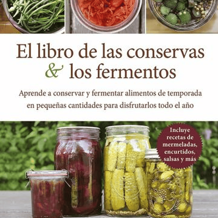  El Libro De Las Conservas Y Los Fermentos 1