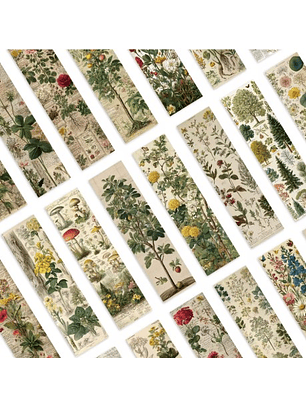 Marcapagina De Carton - Naturaleza Vintage