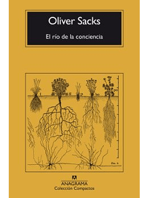 El Rio De La Conciencia 