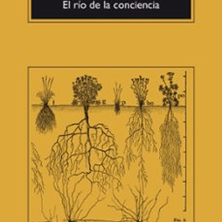 El Rio De La Conciencia  1
