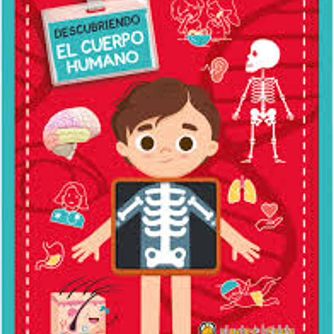 Descubriendo El Cuerpo Humano 1