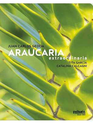 Araucaria Extraordinaria