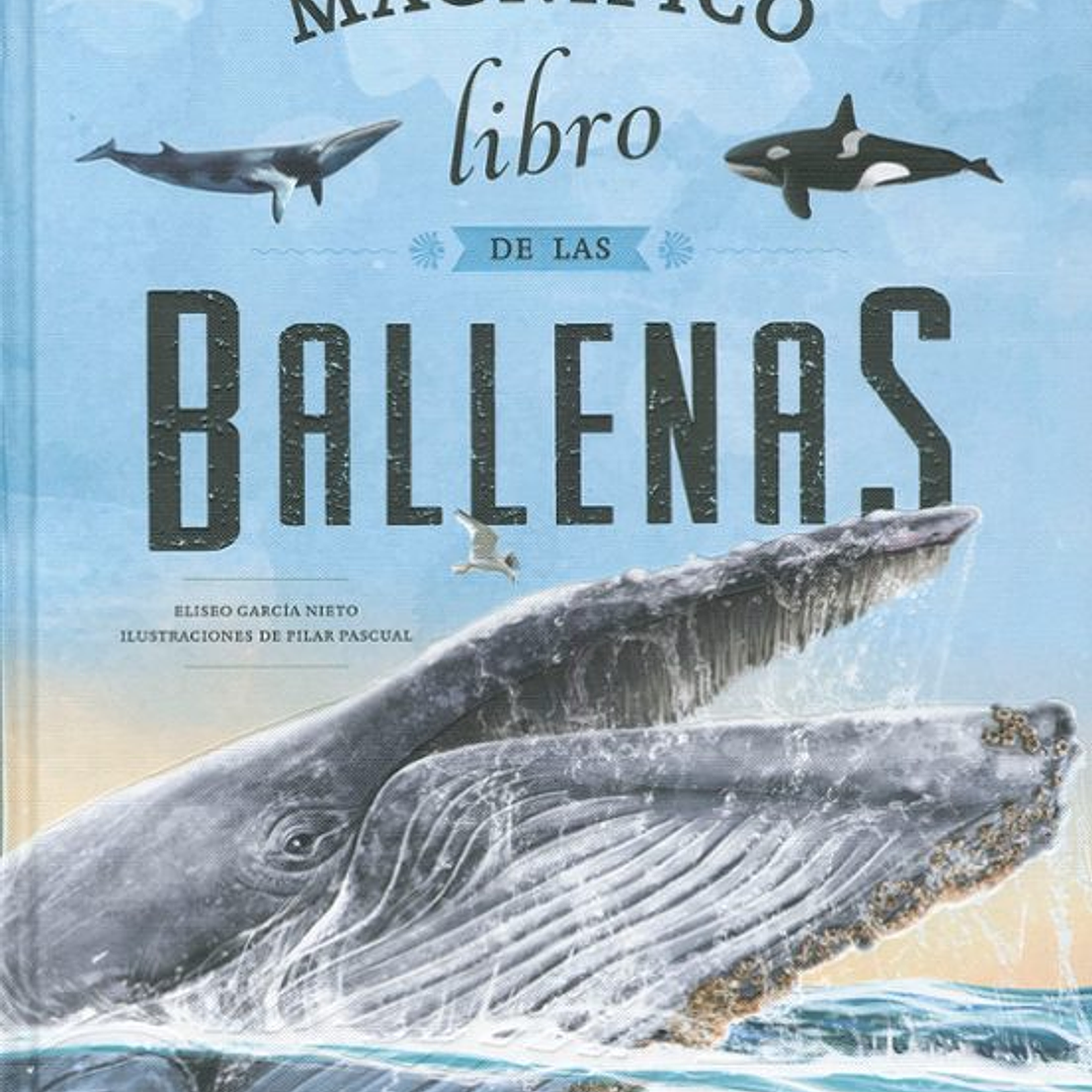 Magnifico Libro De Ballenas 1