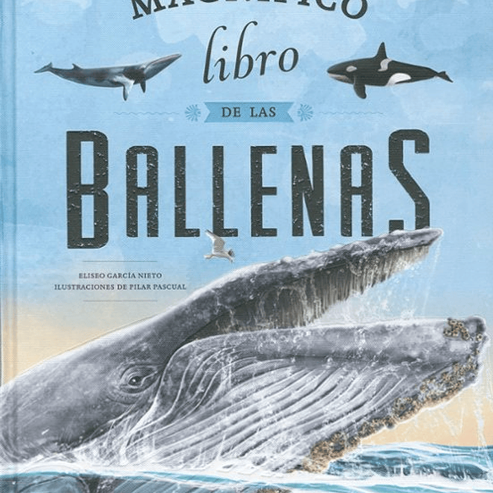 Magnifico Libro De Ballenas 1