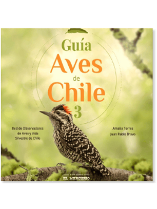 Guia Aves De Chile 3