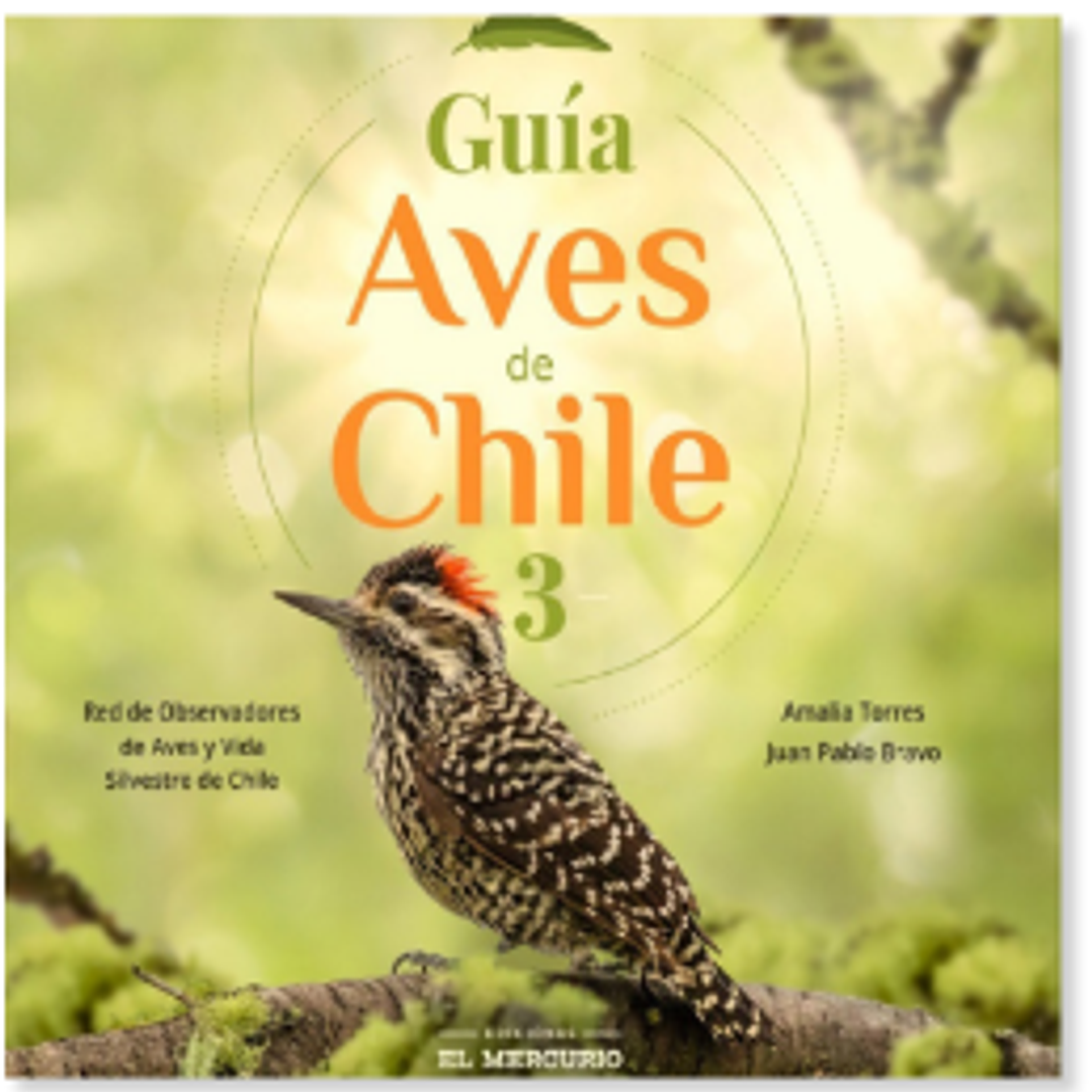 Guia Aves De Chile 3 1