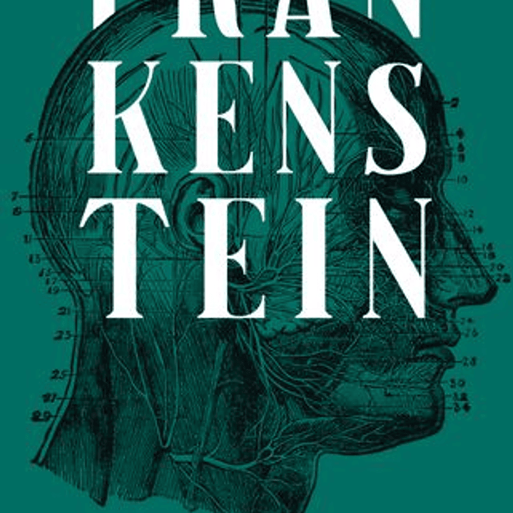 Frankenstein   1