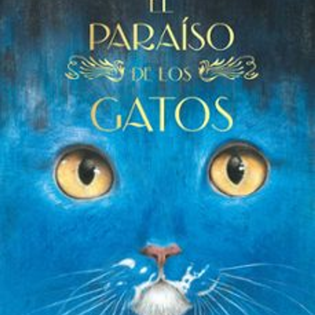 El Paraiso De Los Gatos 1