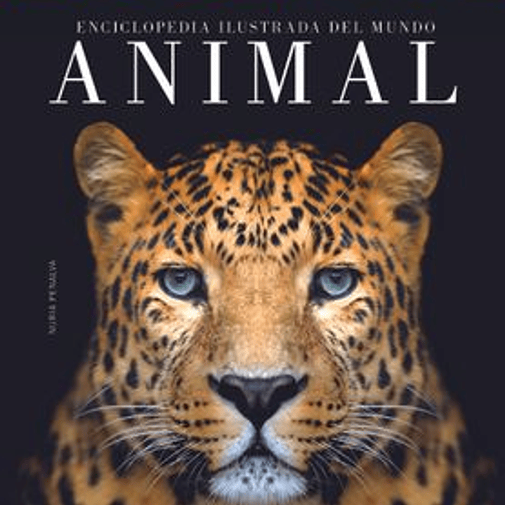 Enciclopedia Ilustrada Del Mundo Animal 1