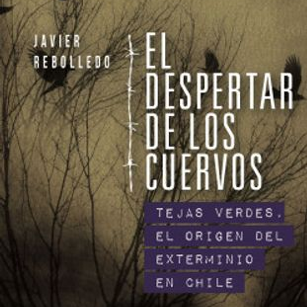 El Despertar De Los Cuervos (Ddhh: La Trilogia De Los Cuervos 2) 1