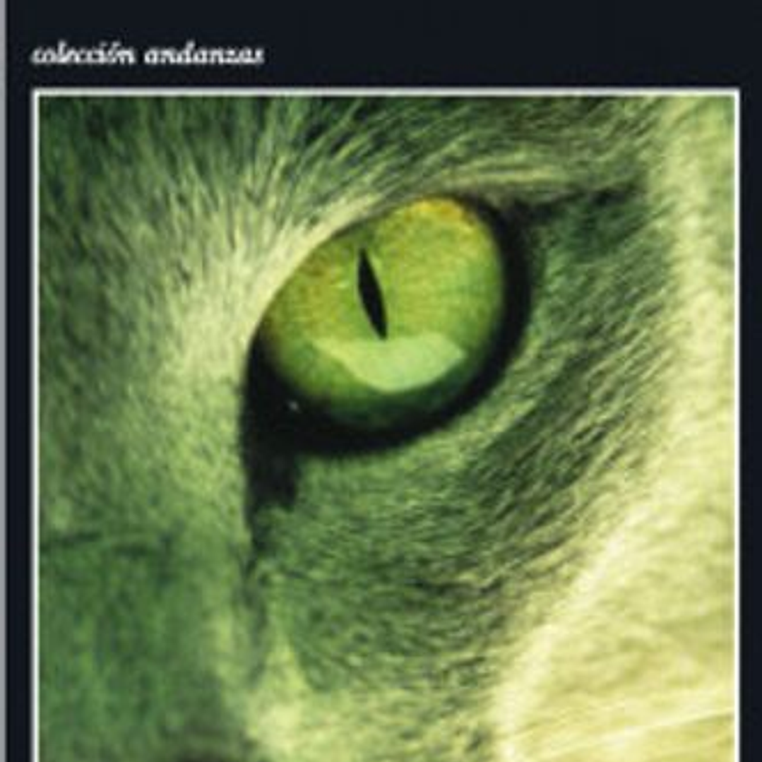 Kafka En La Orilla 1