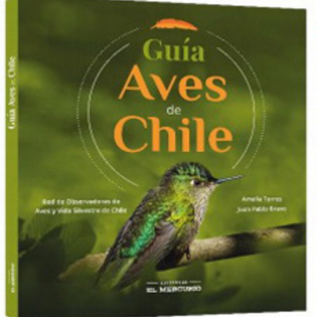 Guia Aves De Chile 1