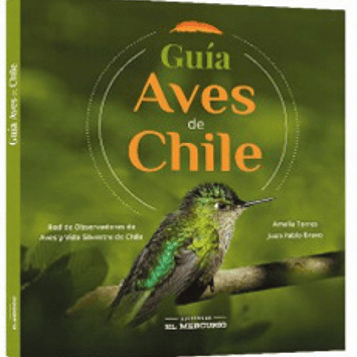 Guia Aves De Chile 1