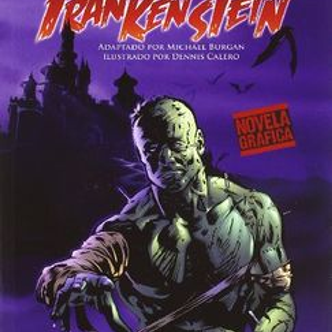 Frankenstein - Novela Grafica- 1