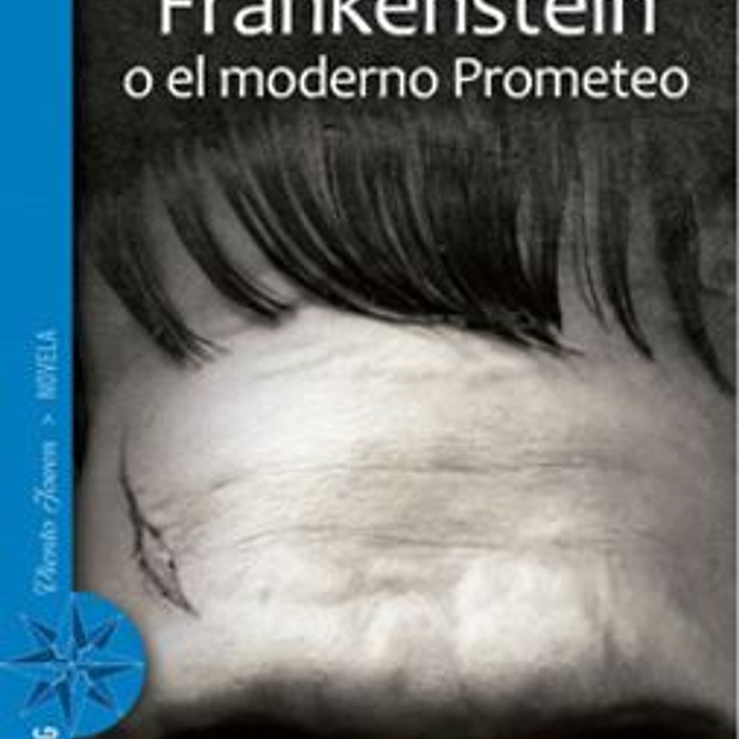 Frankenstein O El Moderno Prometeo 1