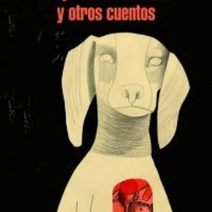 Pajaros En La Boca Y Otros Cuentos 1