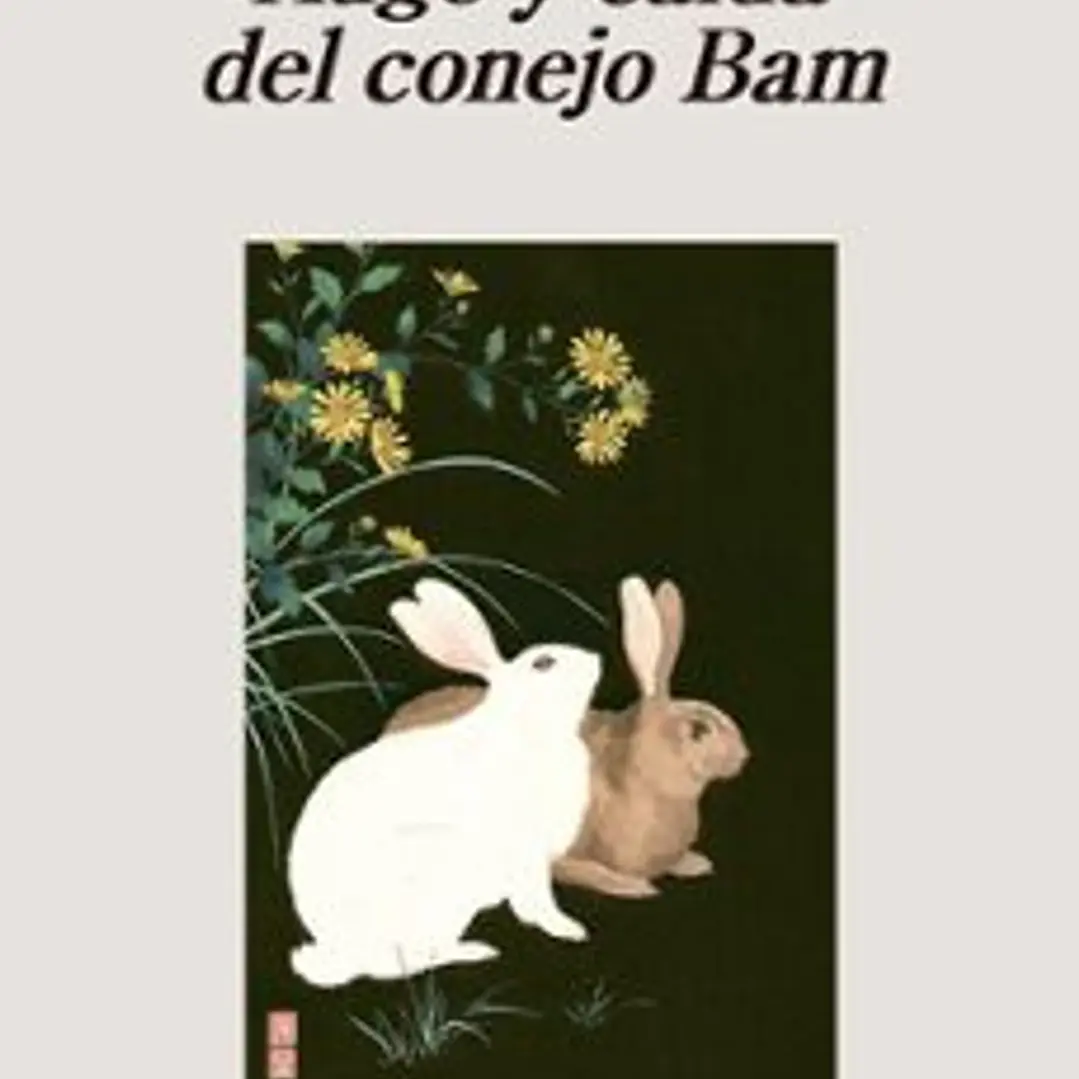 Auge Y Caida Del Conejo Bam 1