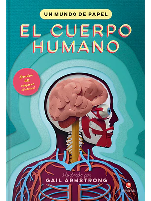 El Cuerpo Humano Un Mundo De Papel